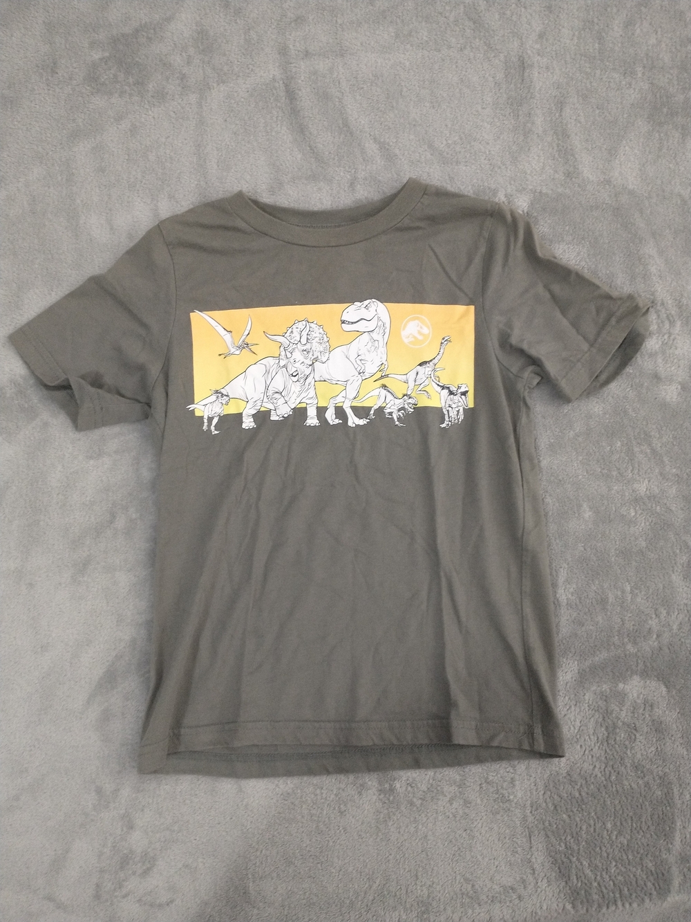Kids / Boys - Size 7 - Jurassic World Grey (RN 86947) Tee w/ Dinosaur Graphic